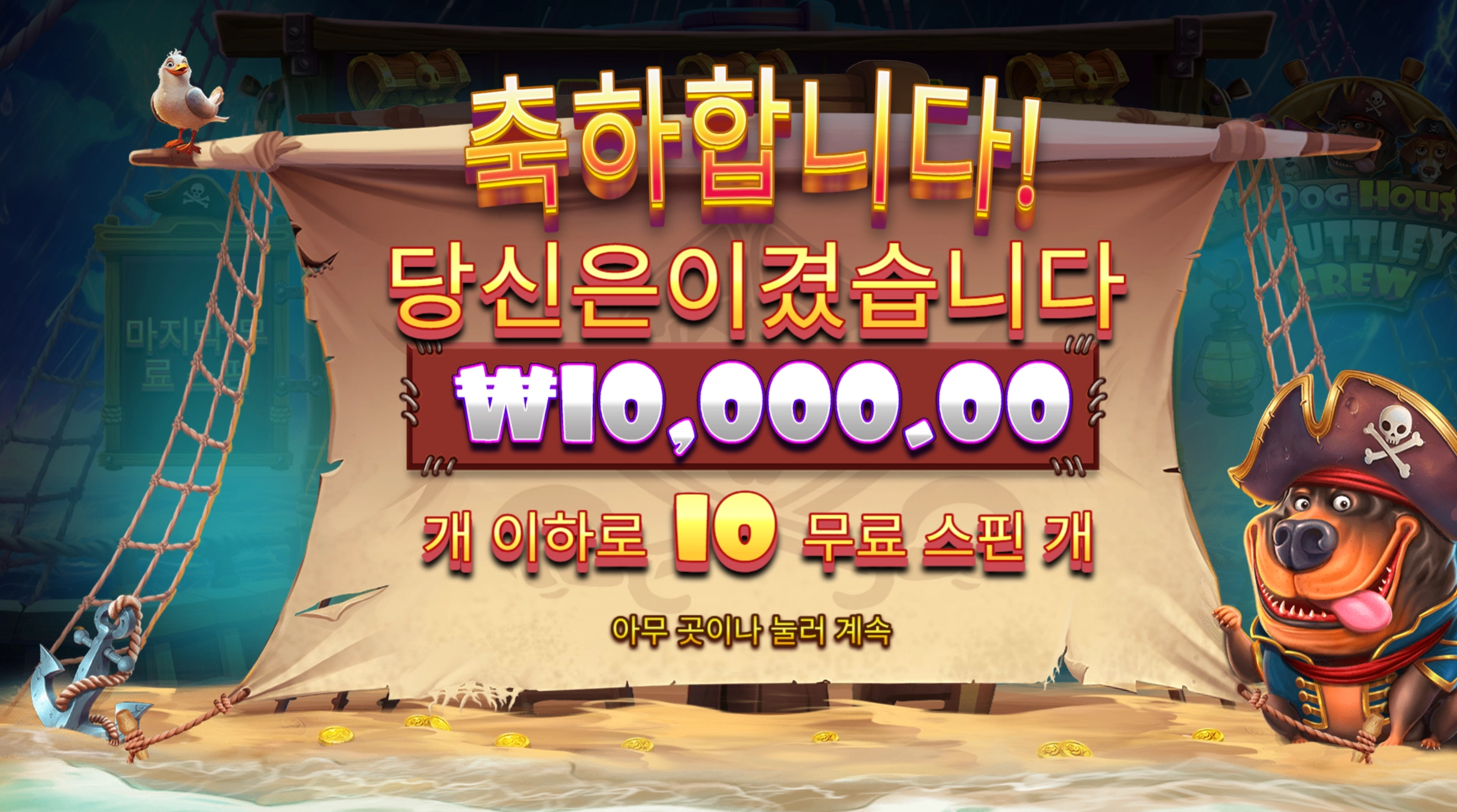 도그하우스 머틀리 1만