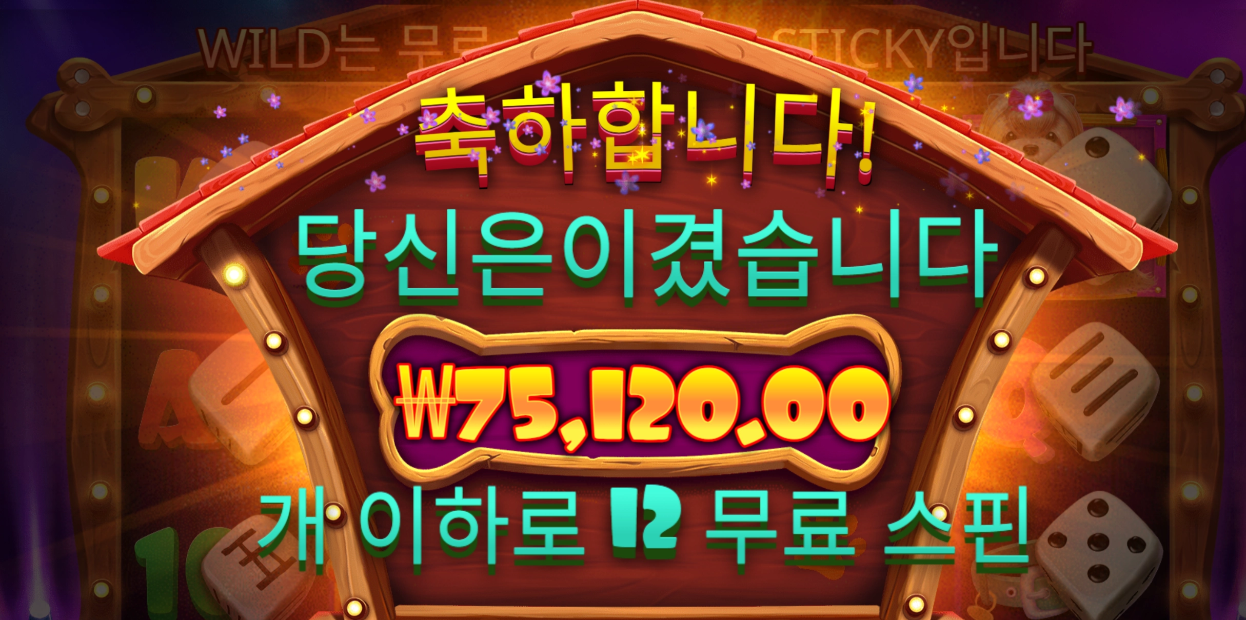 도그하우스 7.5콩 당첨 스핀수 아쉽다