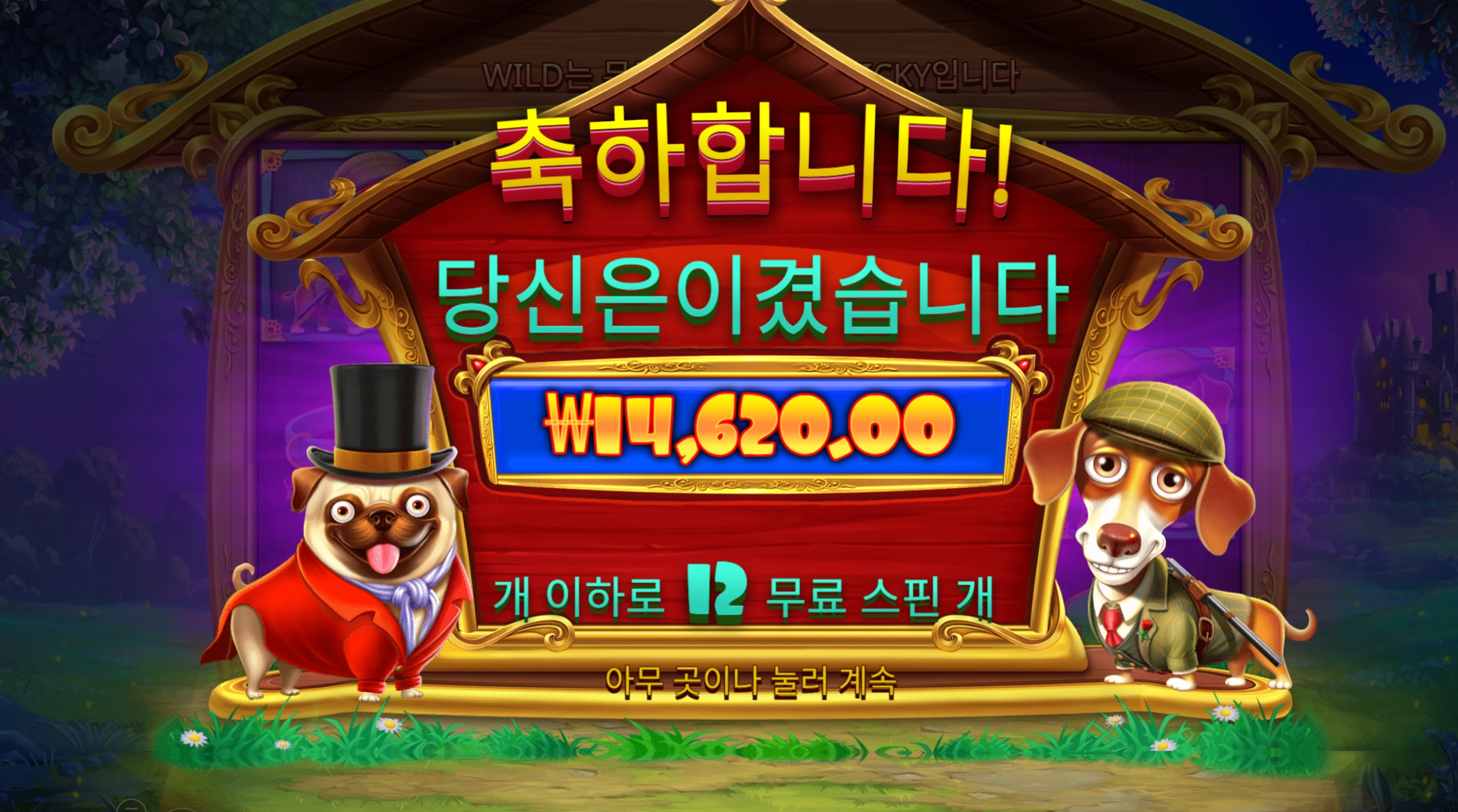 개집 로얄헌트 12바퀴