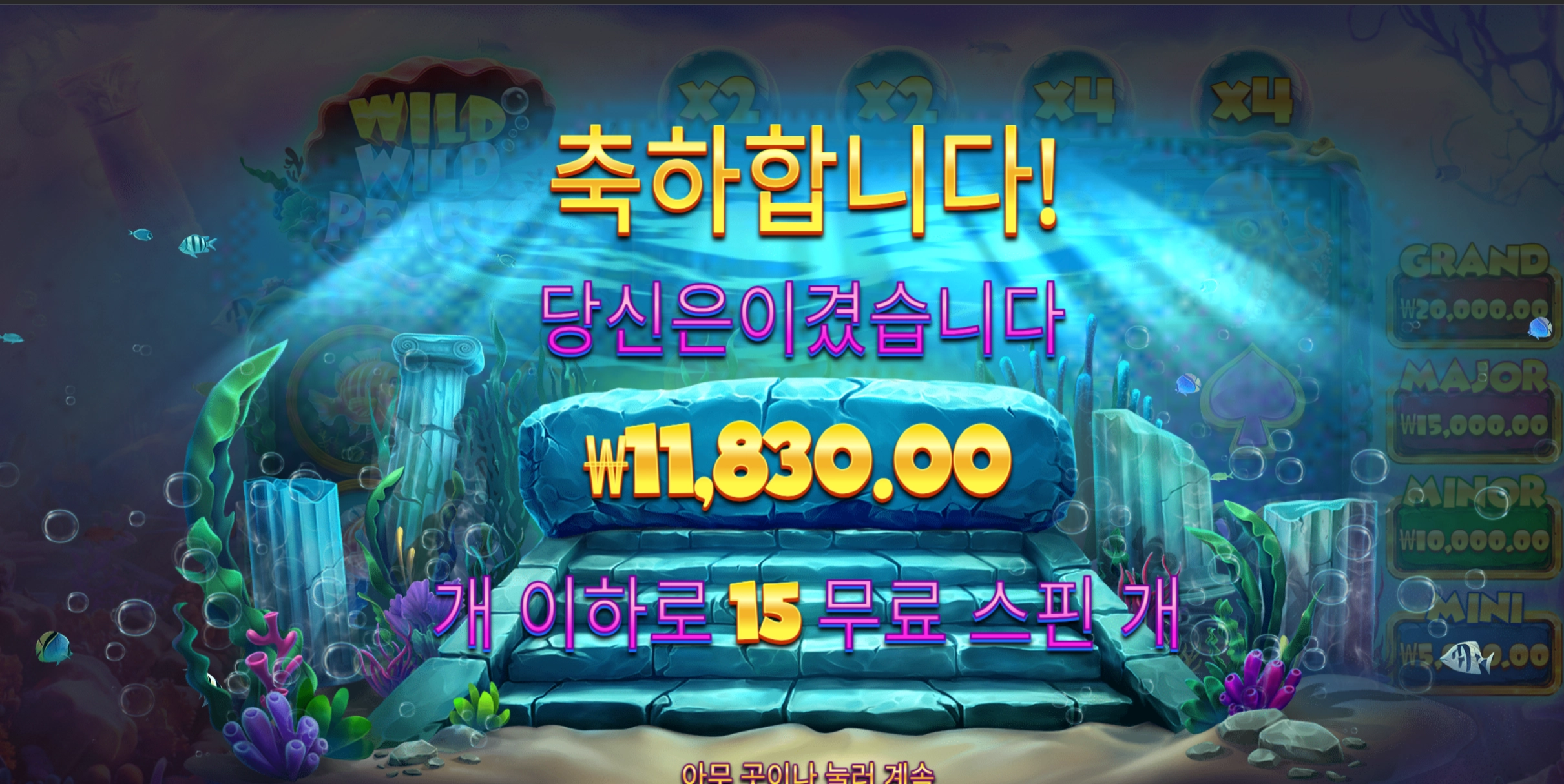 와일드펄 1.1콩 야심한 새벽