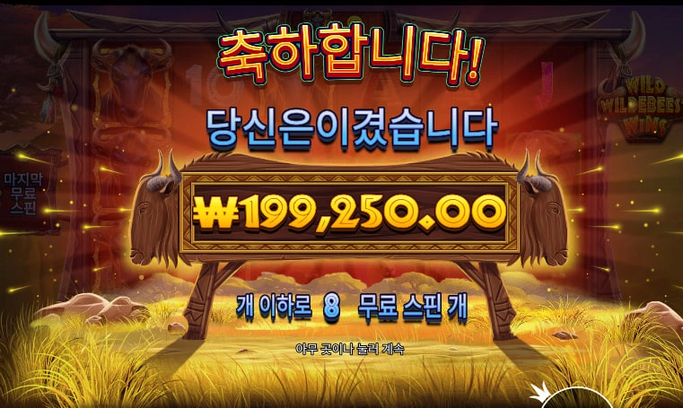 바오 후기