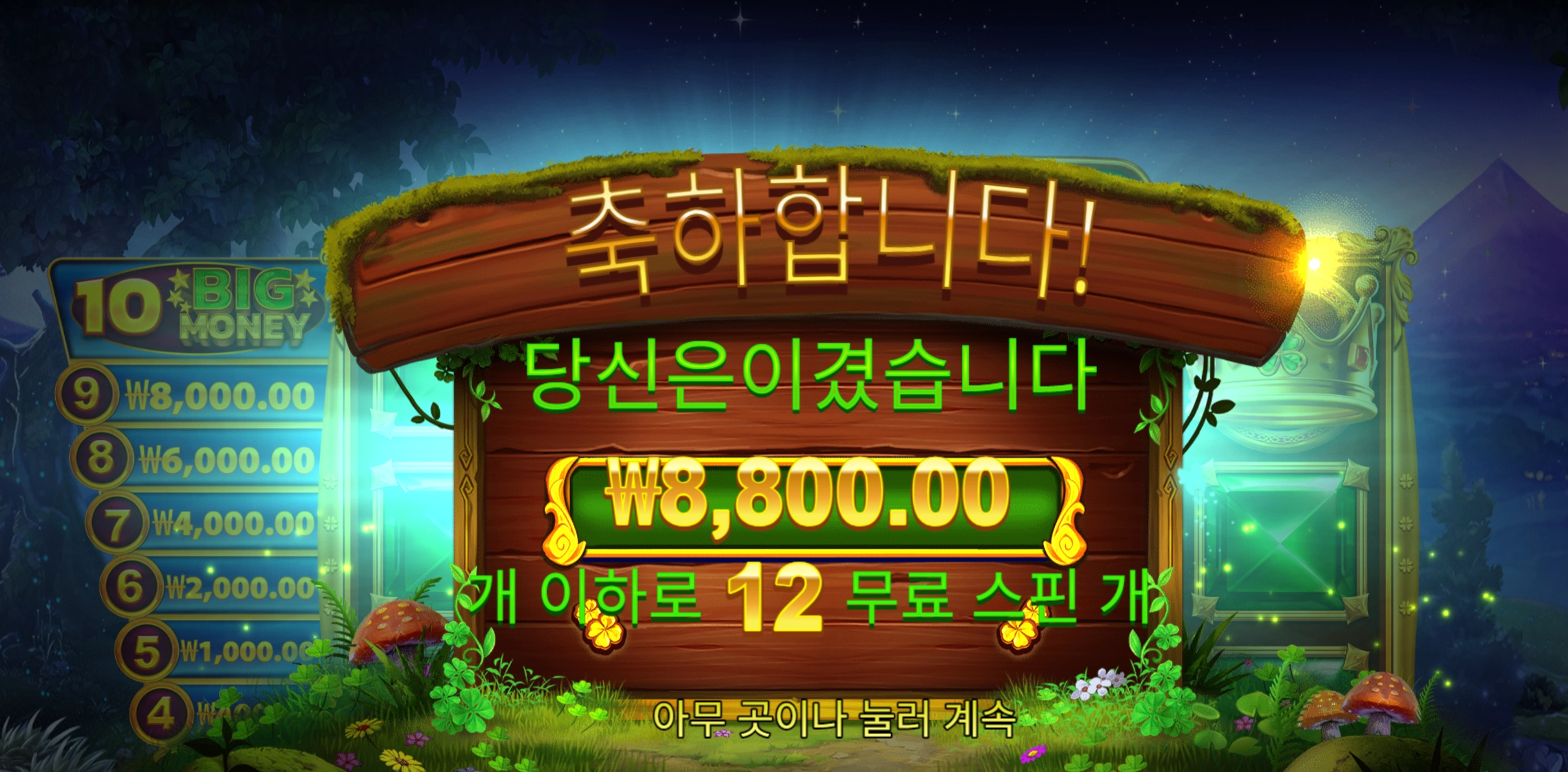 아이리쉬 8800
