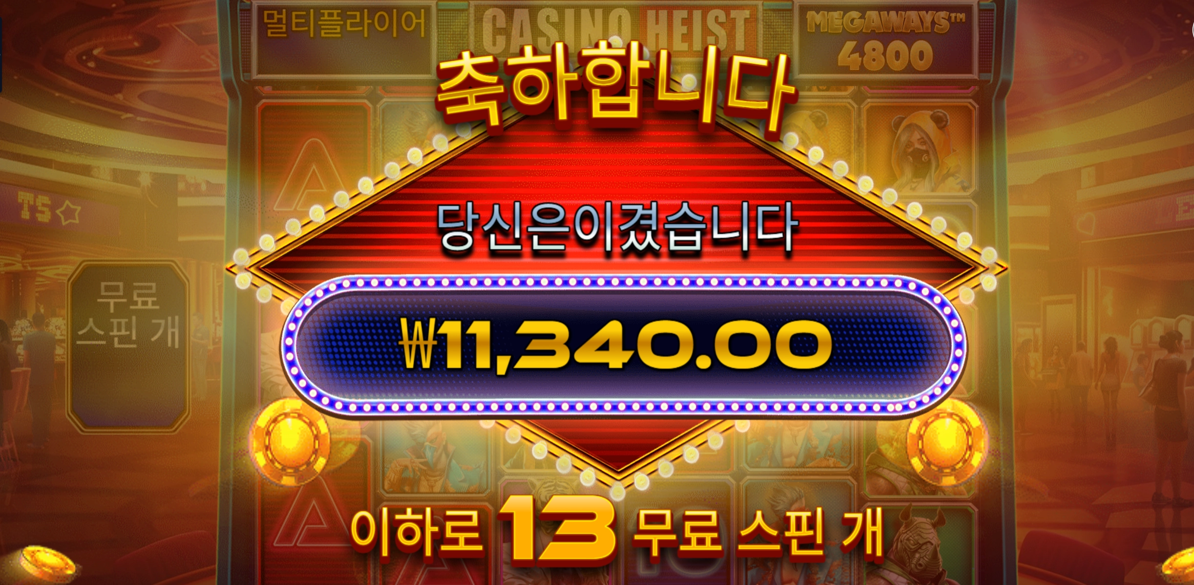 프라그마틱 헤이스트 1.1콩