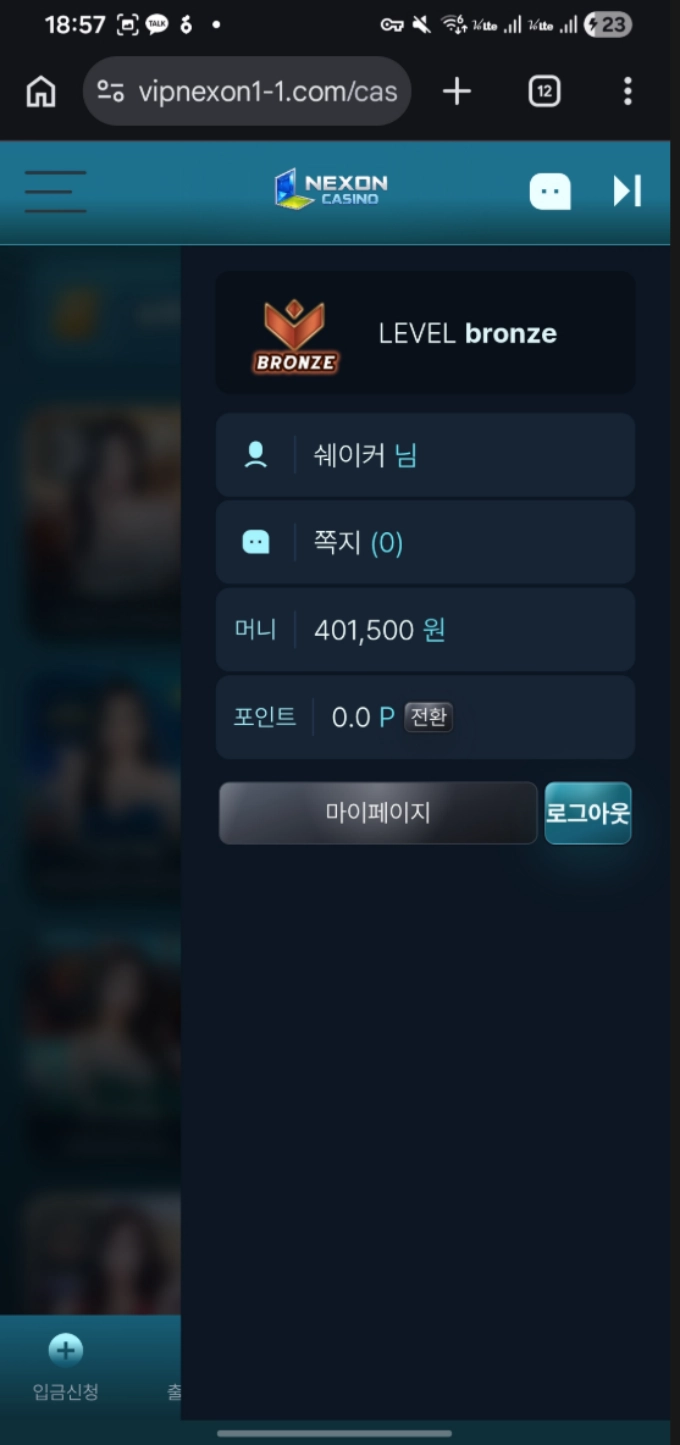 넥슨 먹튀