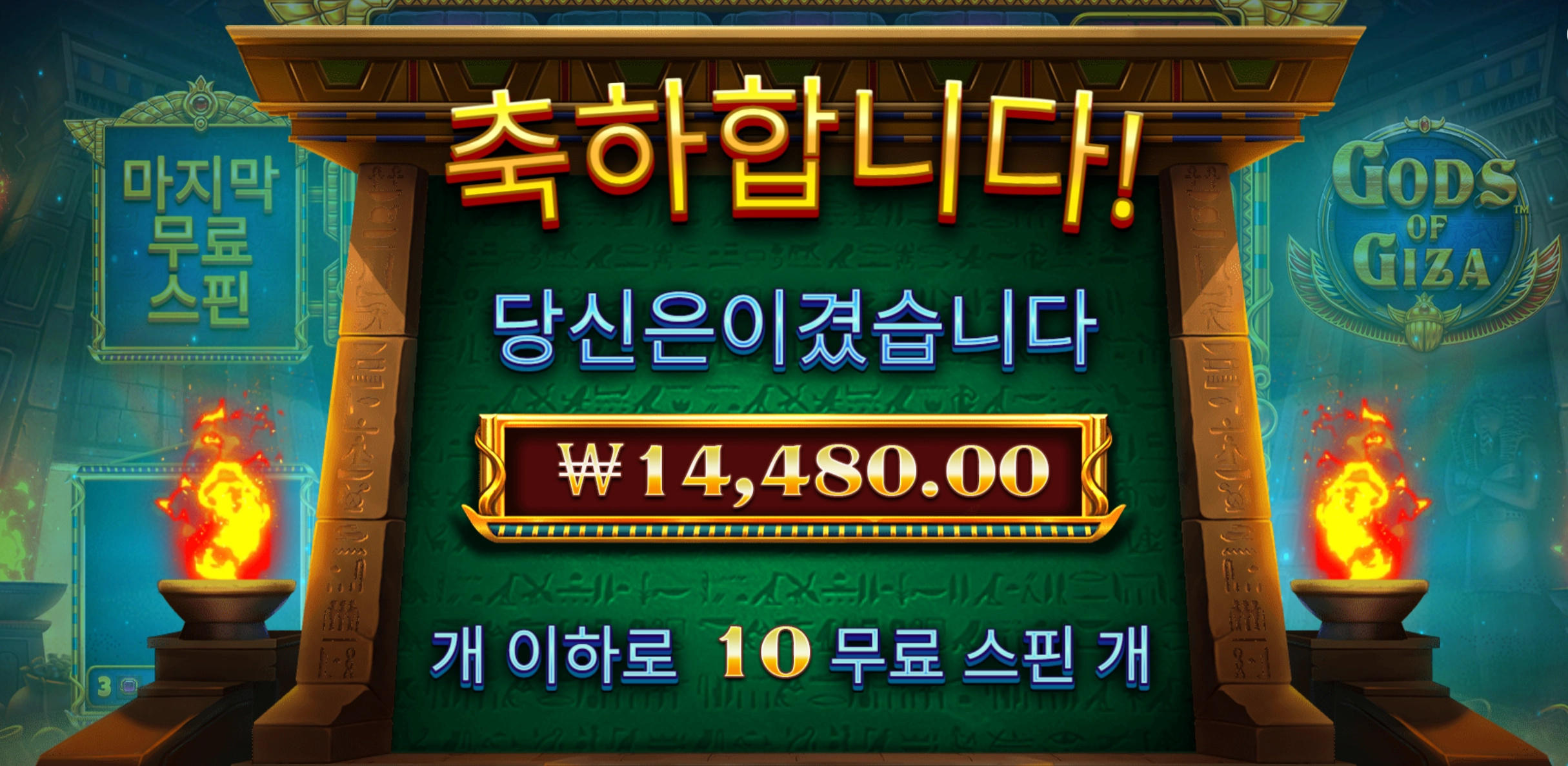 갓기자 후기