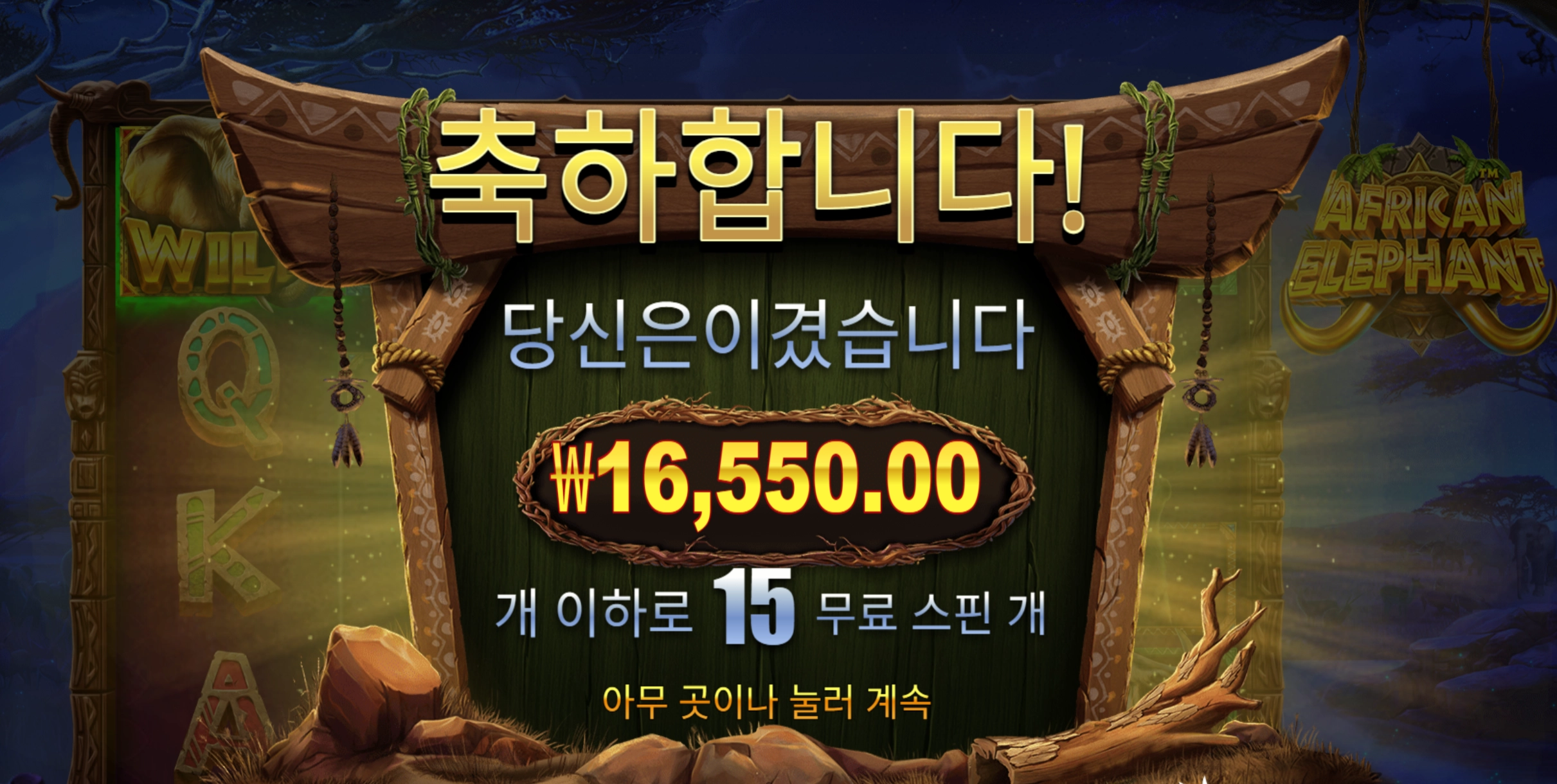 아프리칸 1.6콩
