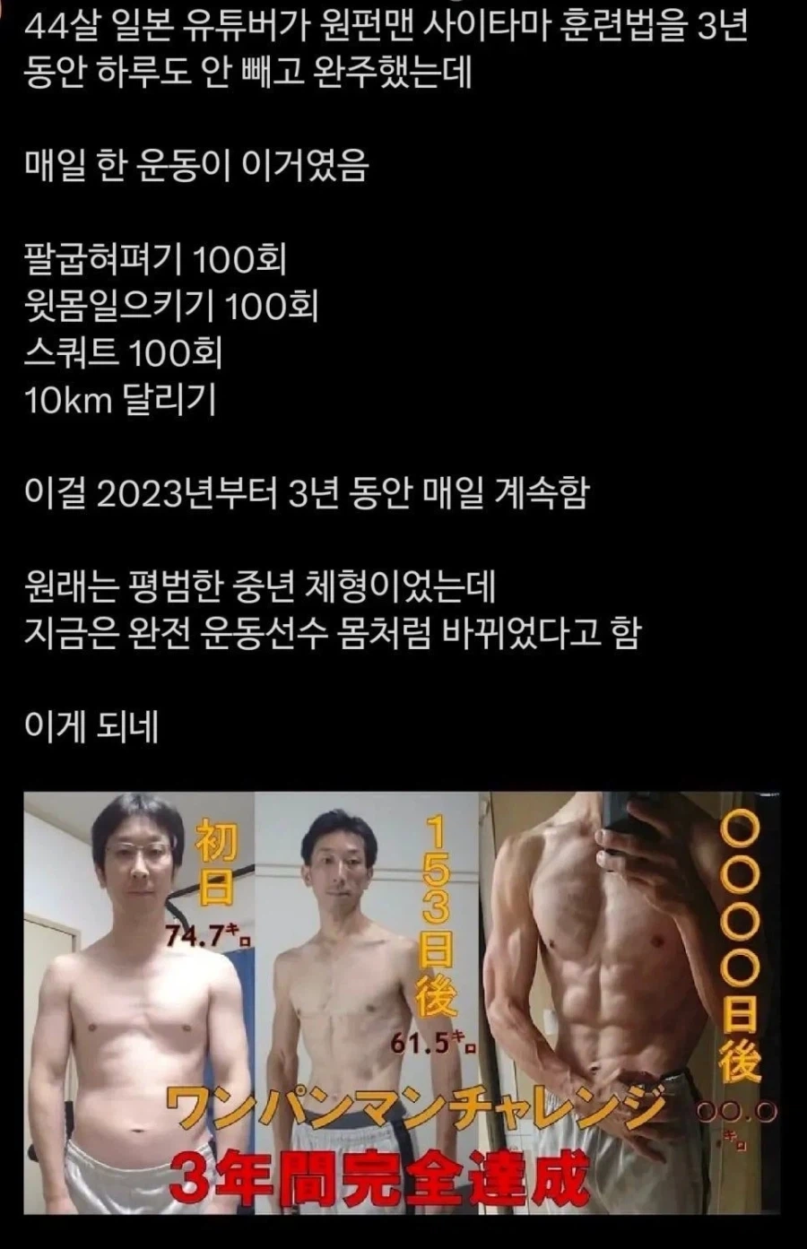 어느 일본인이 원펀맨 훈련 입증