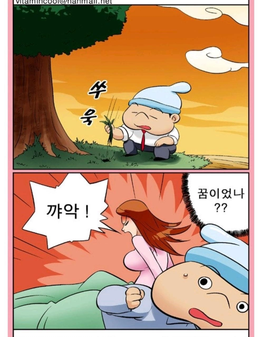 아내의 정원