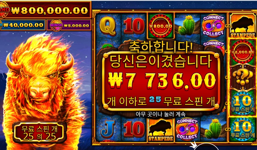 파이어 스탬피드 2 25바퀴