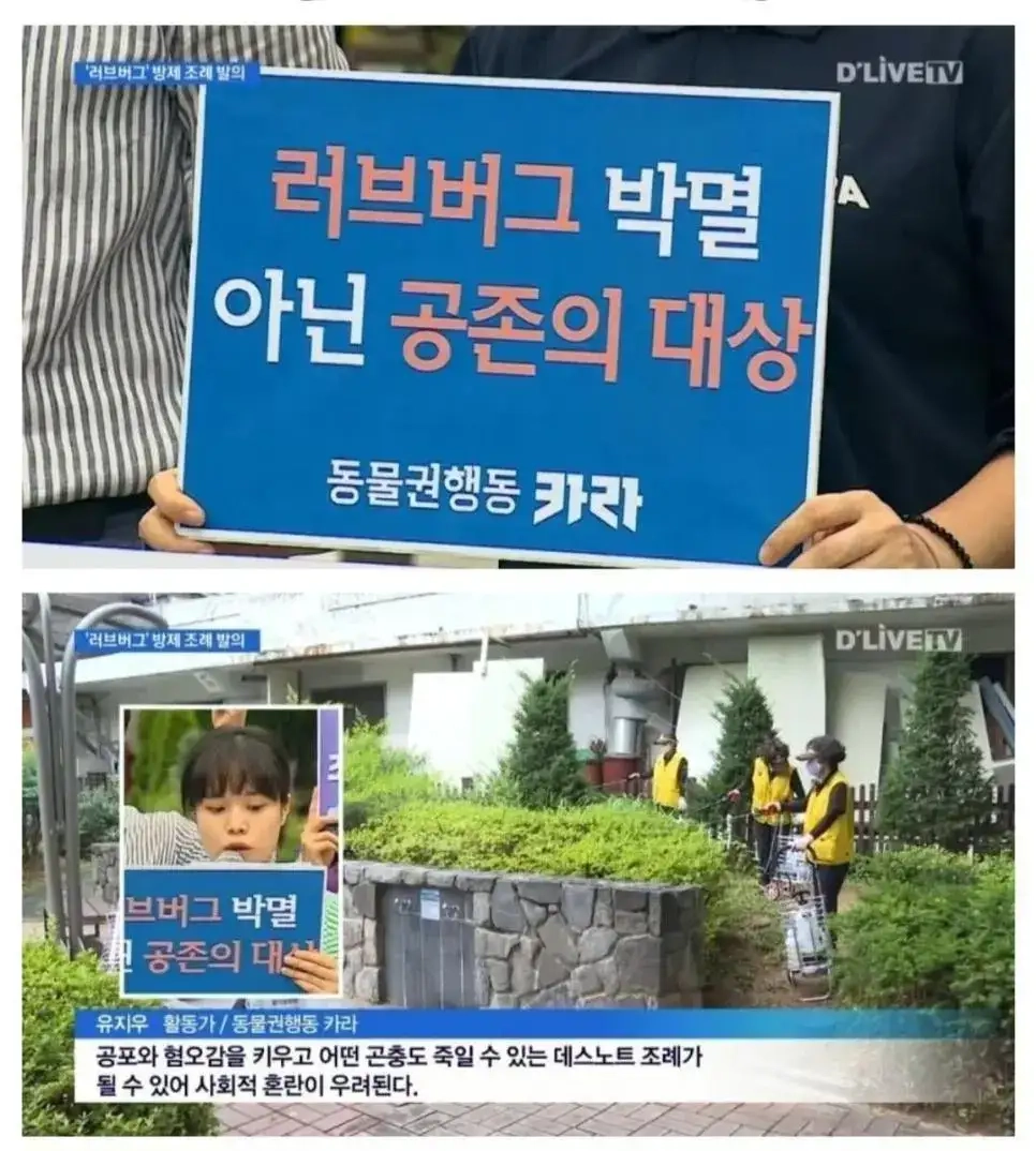 러브버그맘 등장