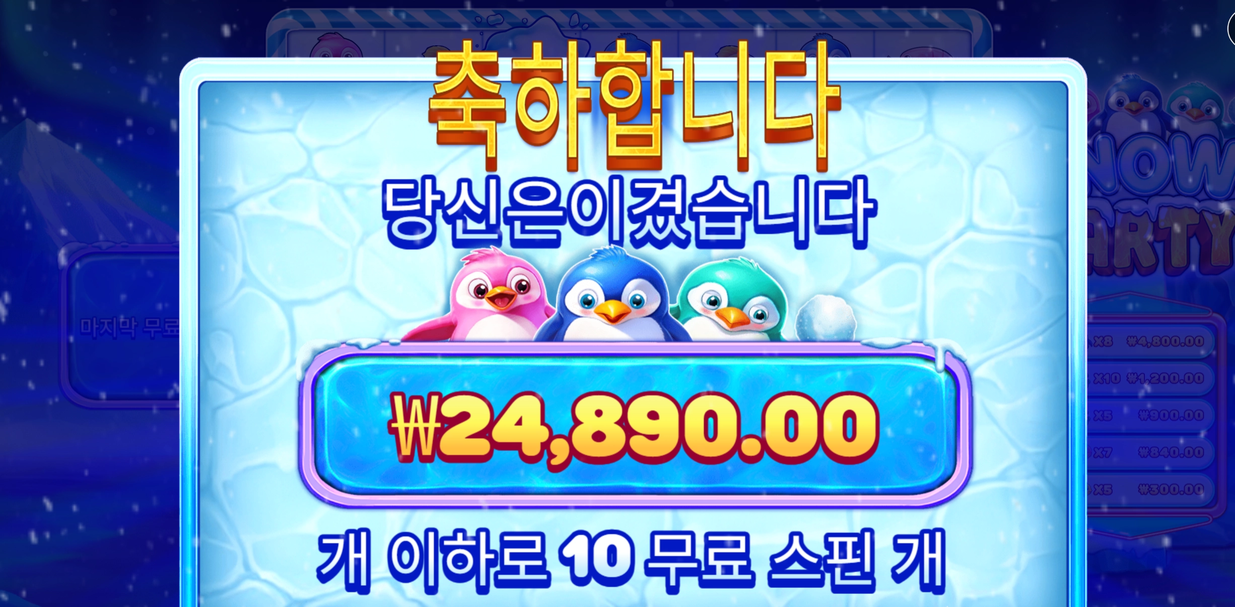 스노우파티 2.5만