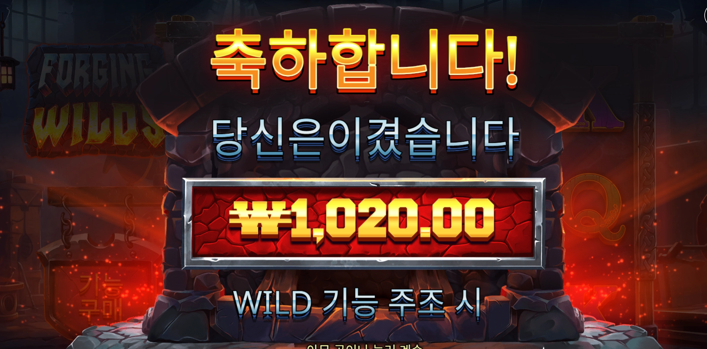 포징와일드 후기