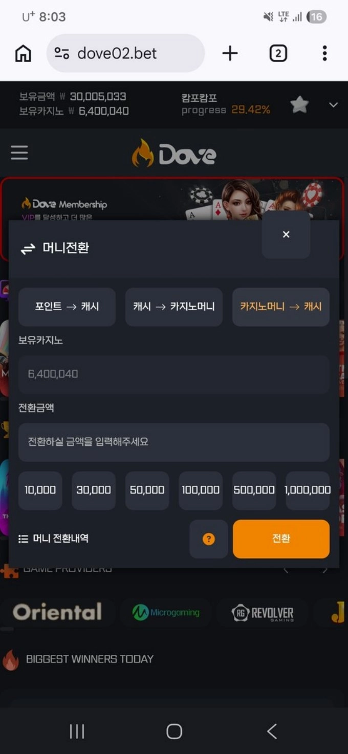 도브 먹튀