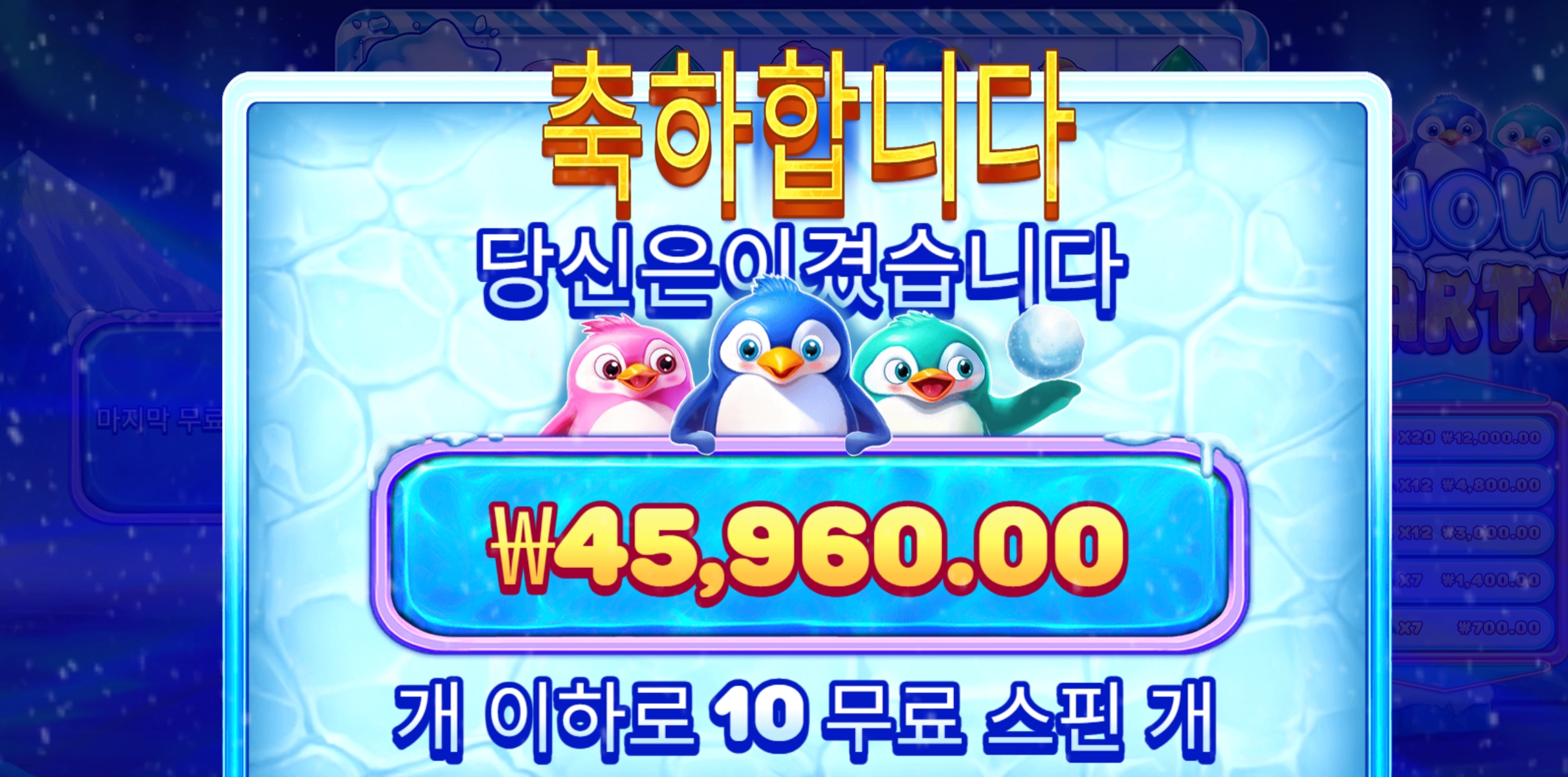 스노우파티 4.5콩