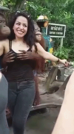 오랑우탄