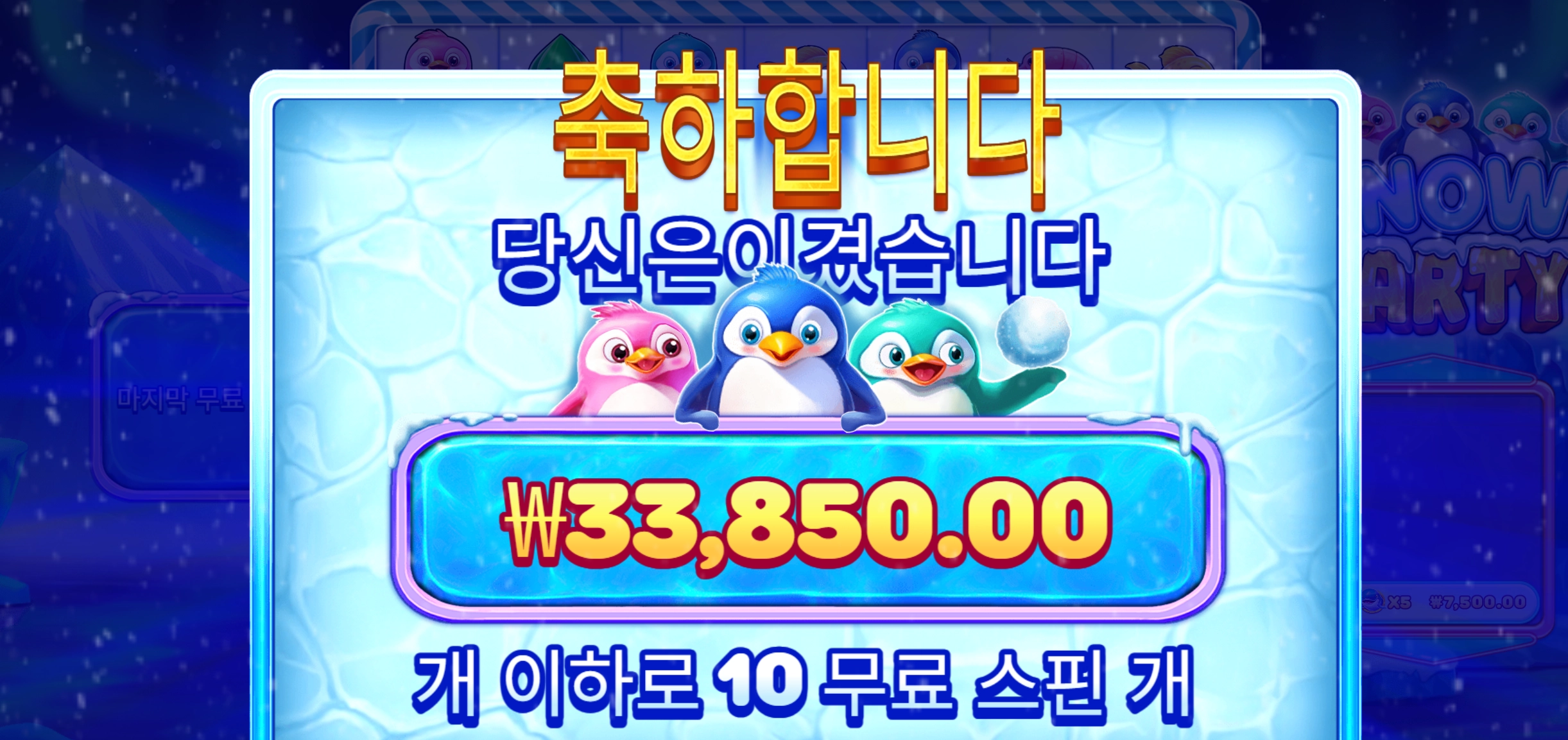 스노우파티 3.3콩