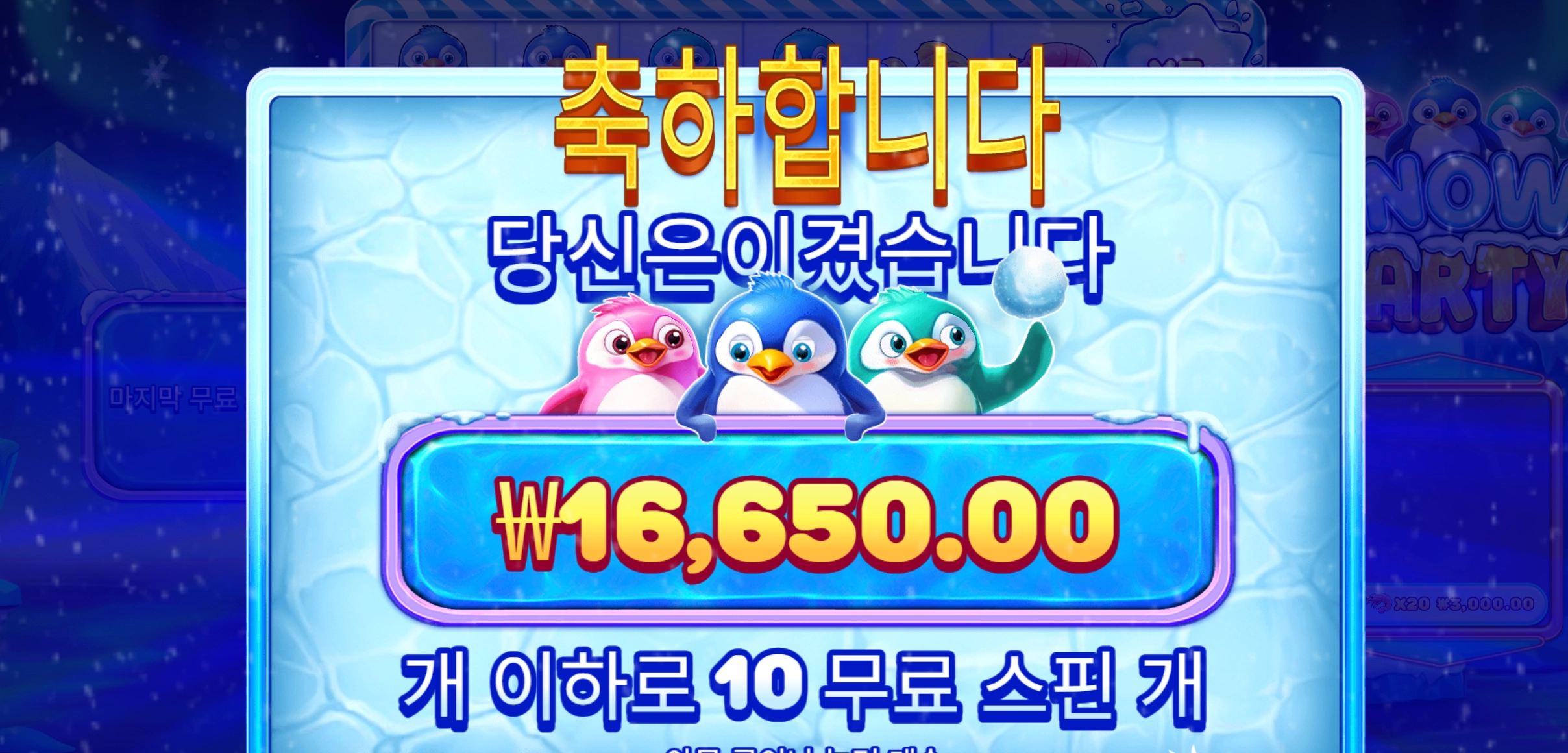 스노우파티 1.6만
