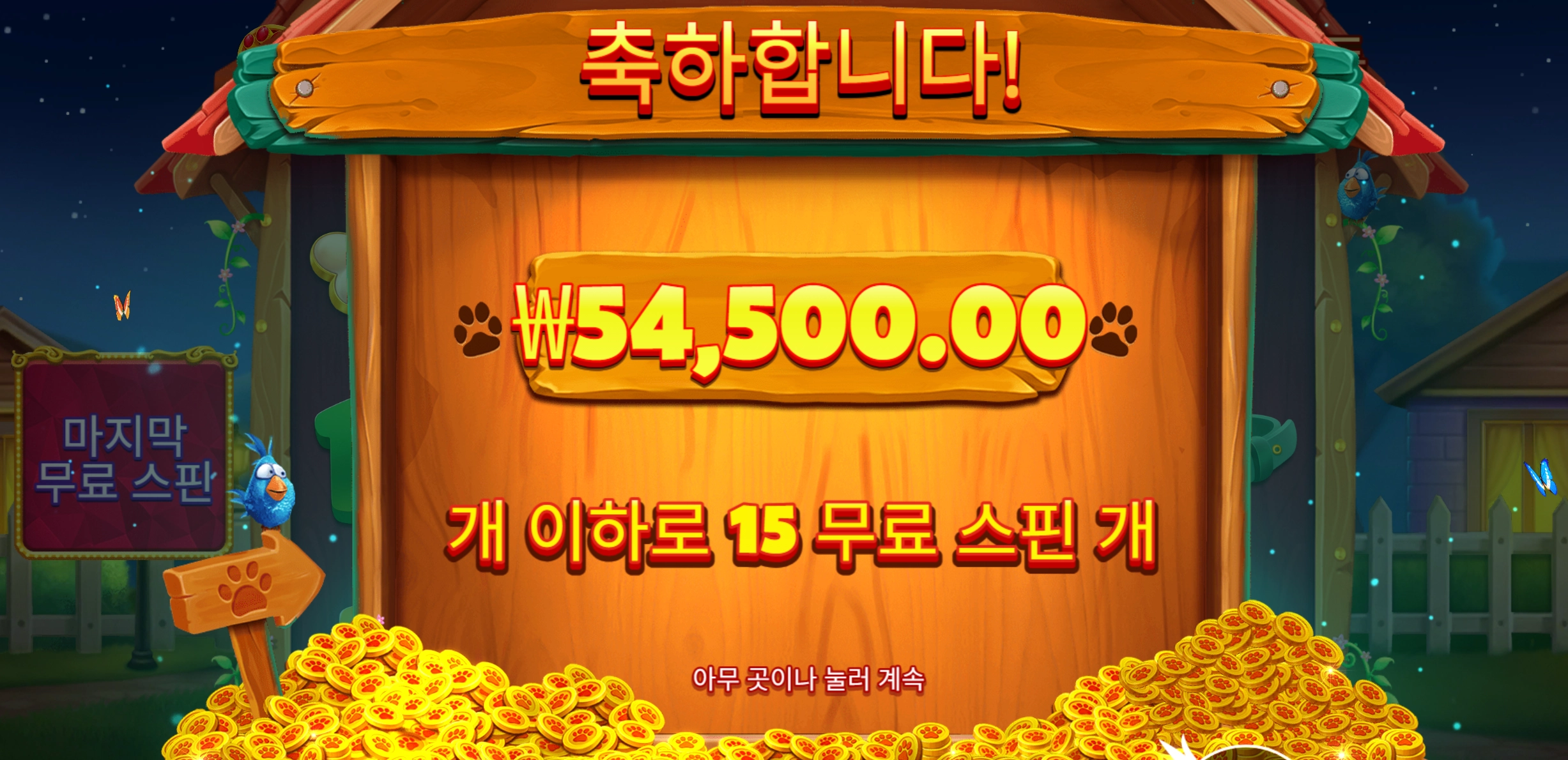 빅도그 5콩