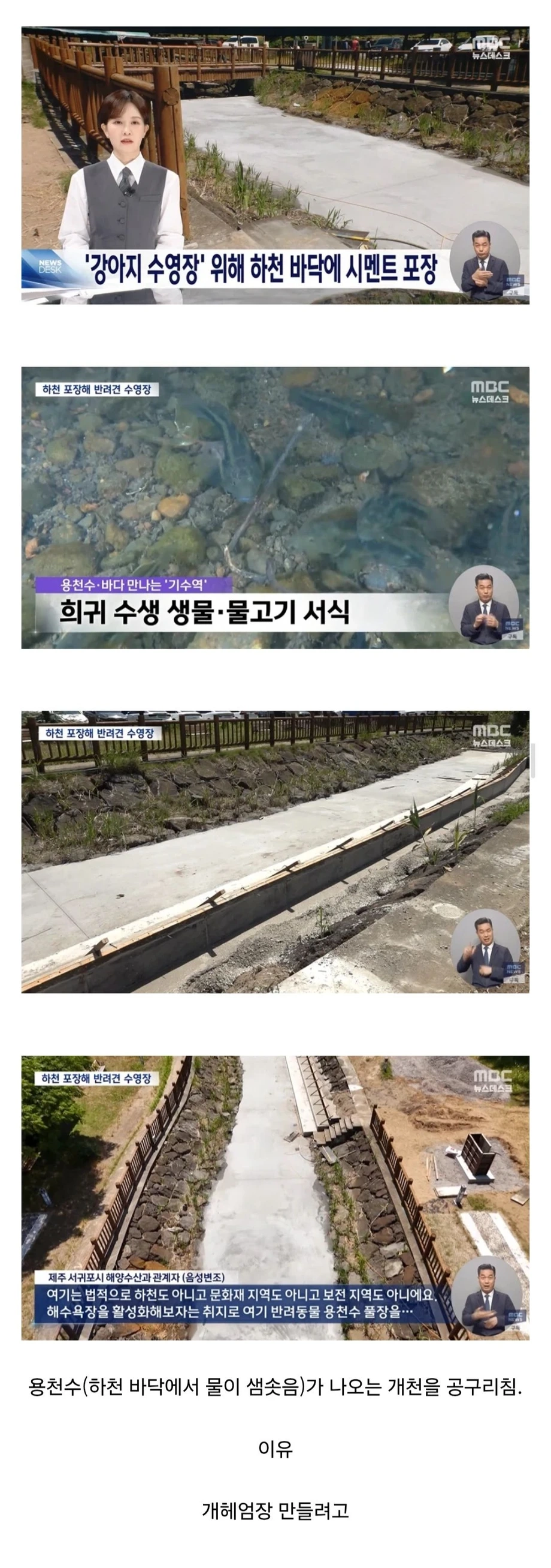 제주도 현황