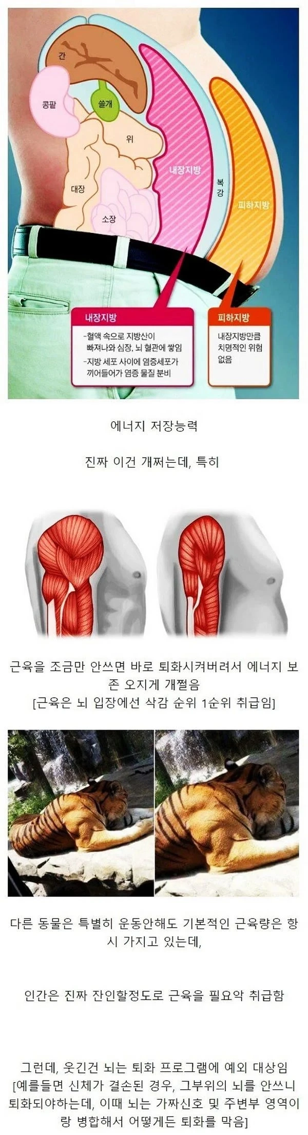 인간이 가진 S급 능력