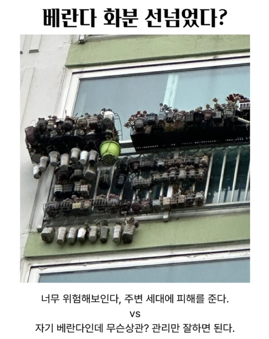 아파트 베란다 화분 논란