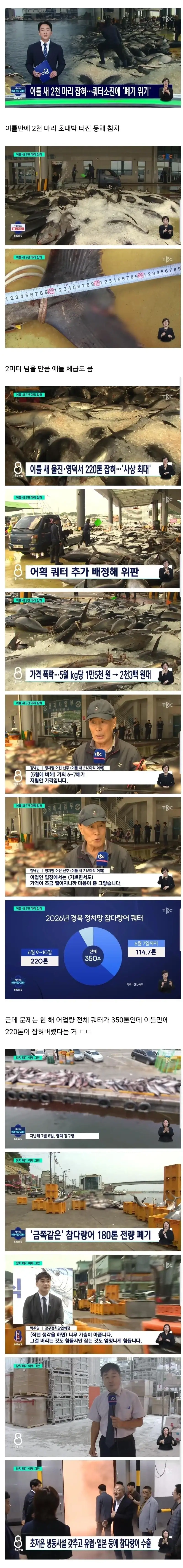 참치 때문에 난리났다는 동해 ..과유불급