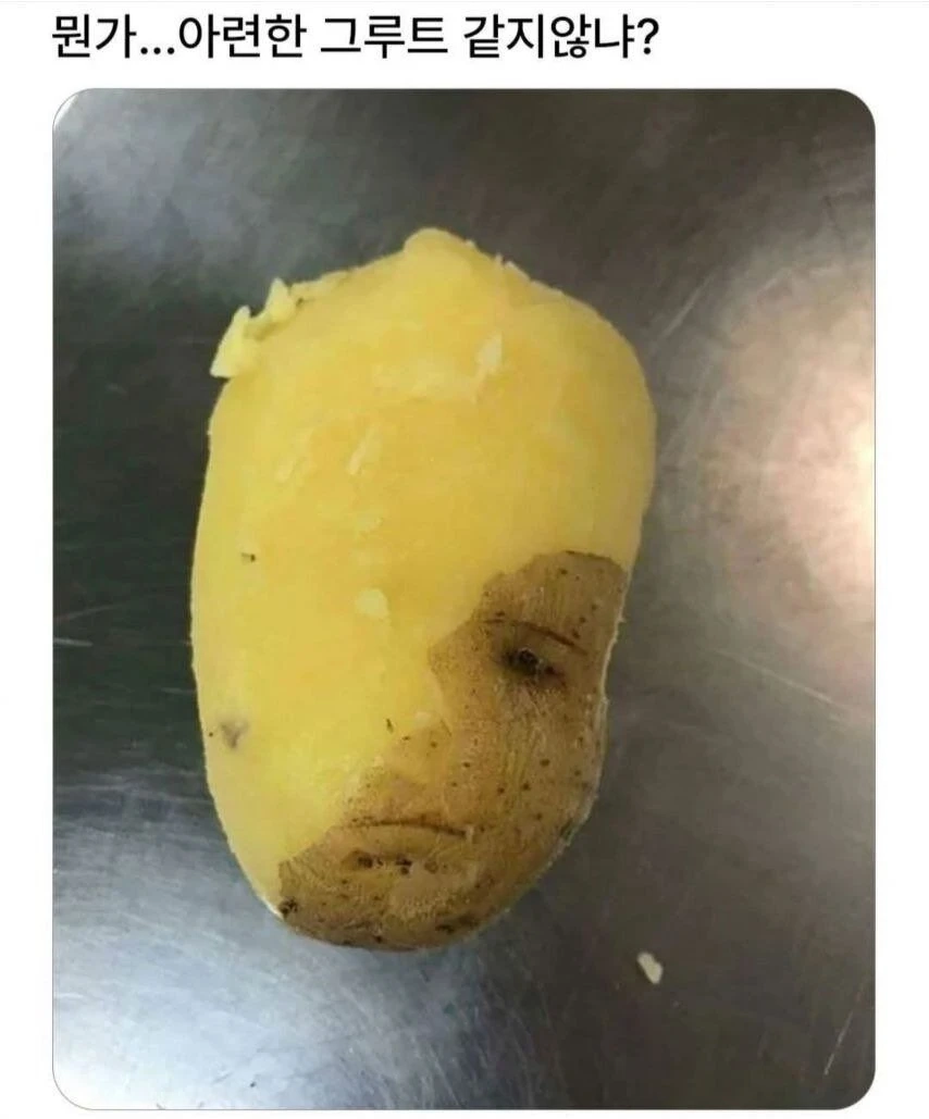 감자껍질 벗기다가 멈췄음