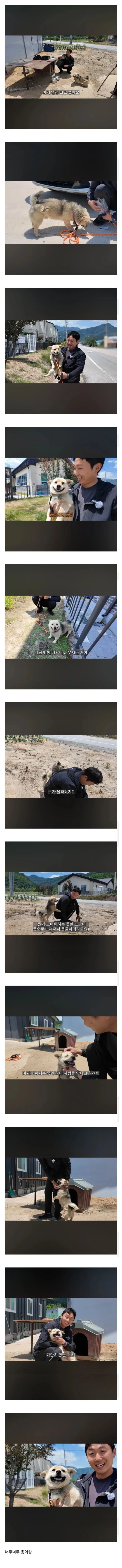 평생 묶여있던 시골똥개 산책시키기