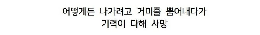 맥주잔에 갇힌 거미의 최후