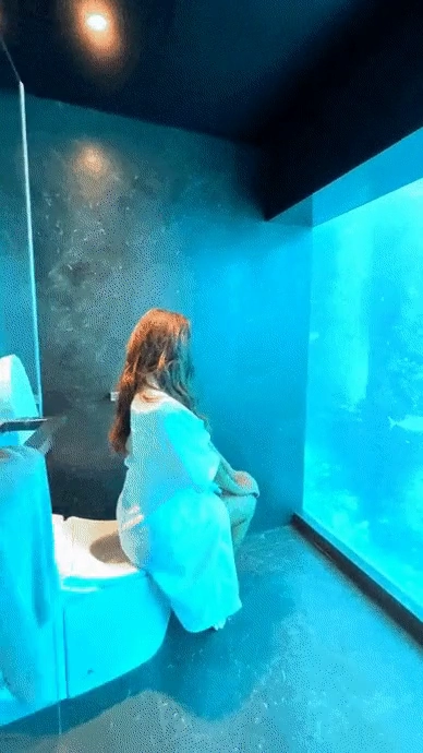 몰디브 화장실 뷰