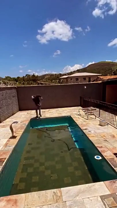 수영장 진공 청소