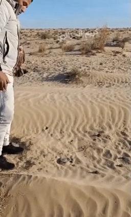 장난으로 지뢰 밟고 뒤지는 영상