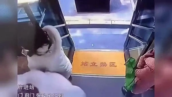 이해가 안가는 중국버스사고