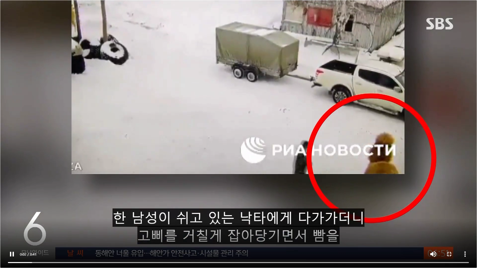 쉬고있는 낙타한테 뺨 때리다 사망한 경비원