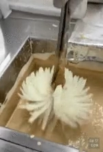 미국식 양파튀김