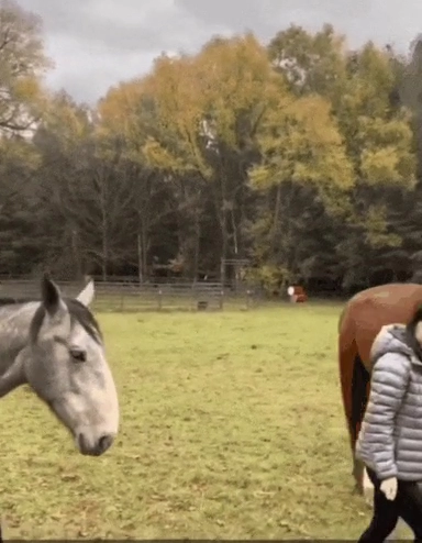 습관이 무서운 이유