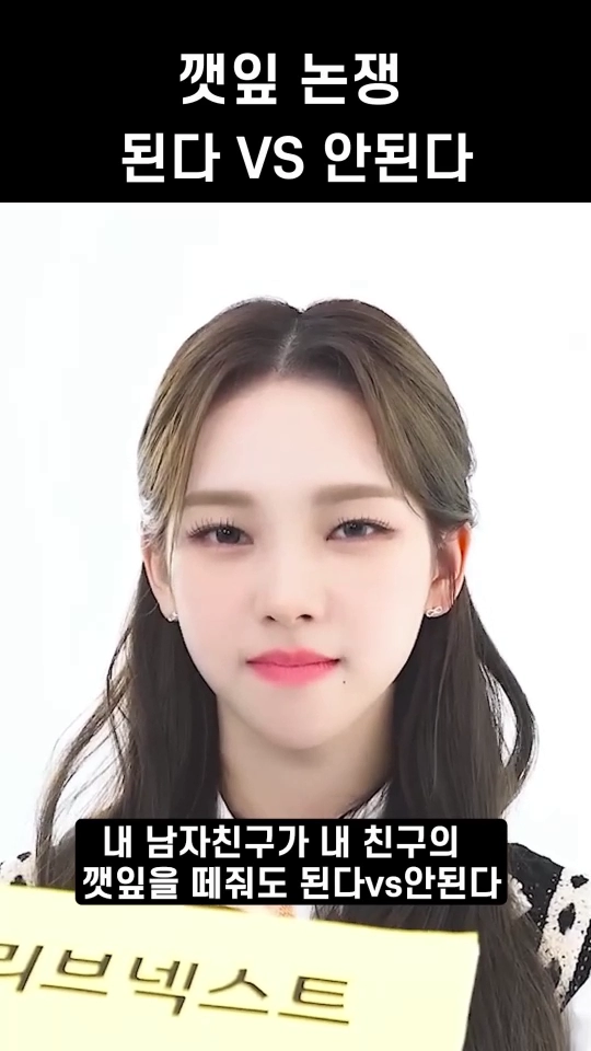 카리나가 말하는 깻잎 논쟁