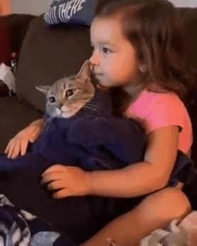 딸의 애착인형이 되어버린 고양이