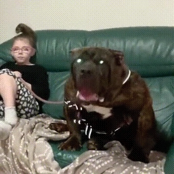 키울수 있다? 없다?