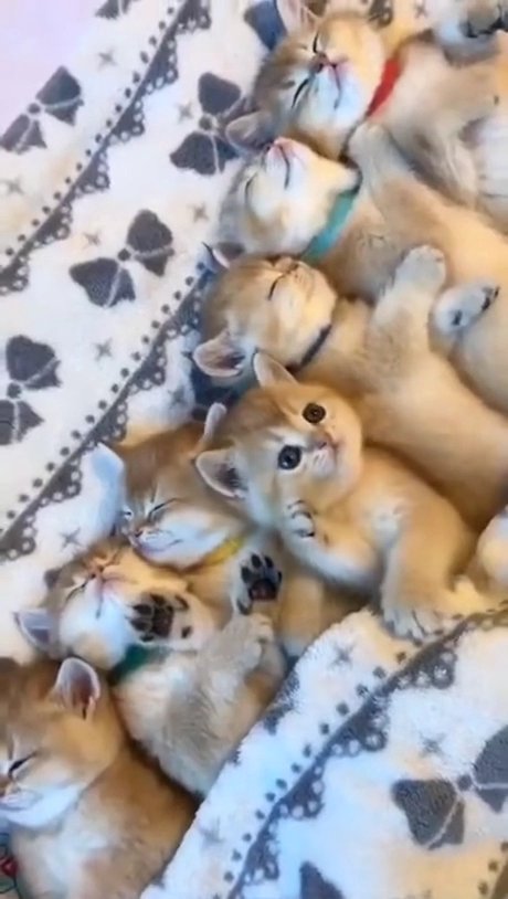 단체로 잘 때 특