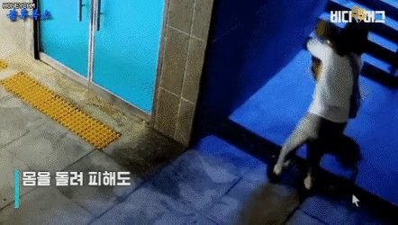 부산 개물림 사고 ㄷㄷ