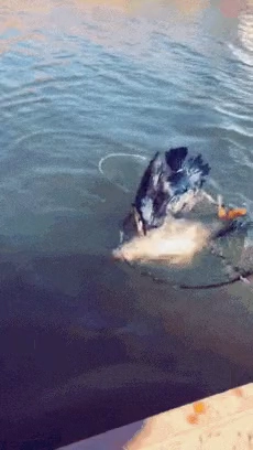 당근마켓 직거래 현장