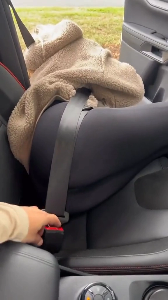 안전벨트의 중요성