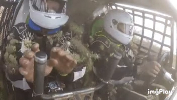 자동차에 유리창이 있어야되는 이유