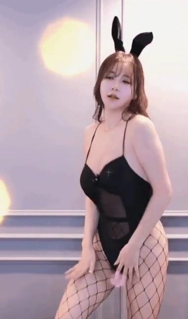 감동란 전신 망사 바니걸