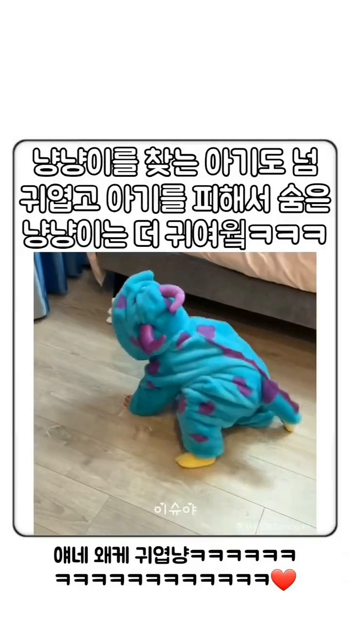 아기와 숨박꼭질 중인 냥이
