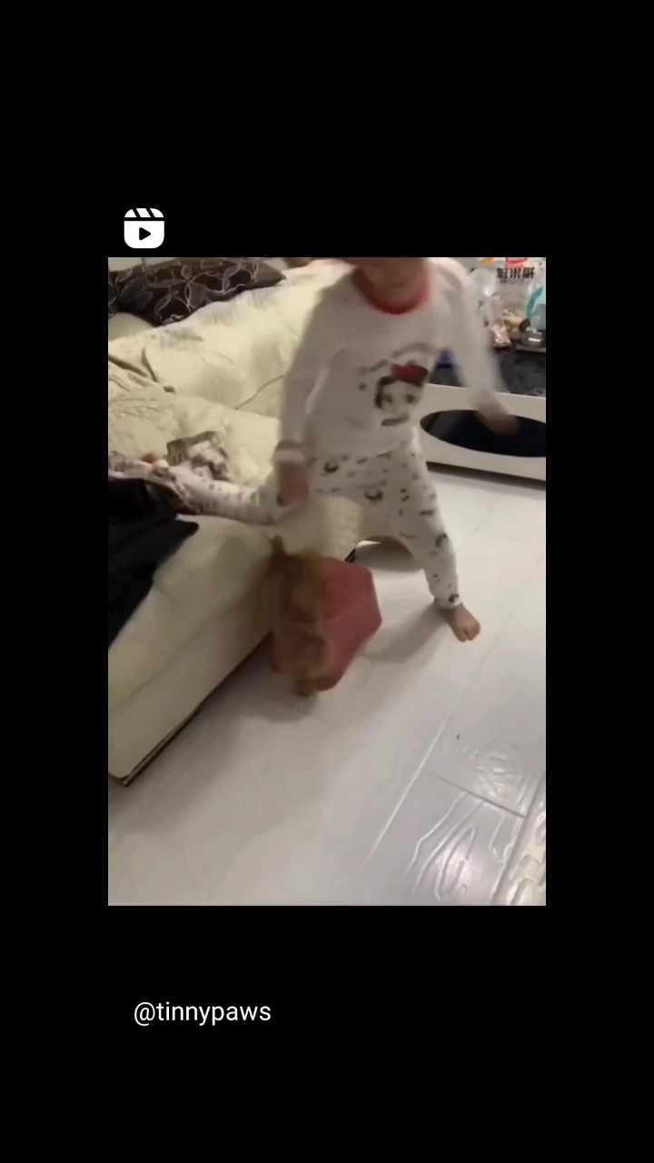 똑똑한 강아기가 정말 많네