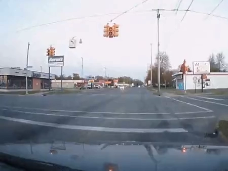 감전당하고 통구이 되는 비둘기 ㄷㄷㄷ