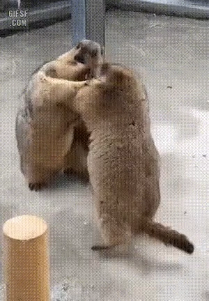 댐 건설 현장에서 싸움난 인부들