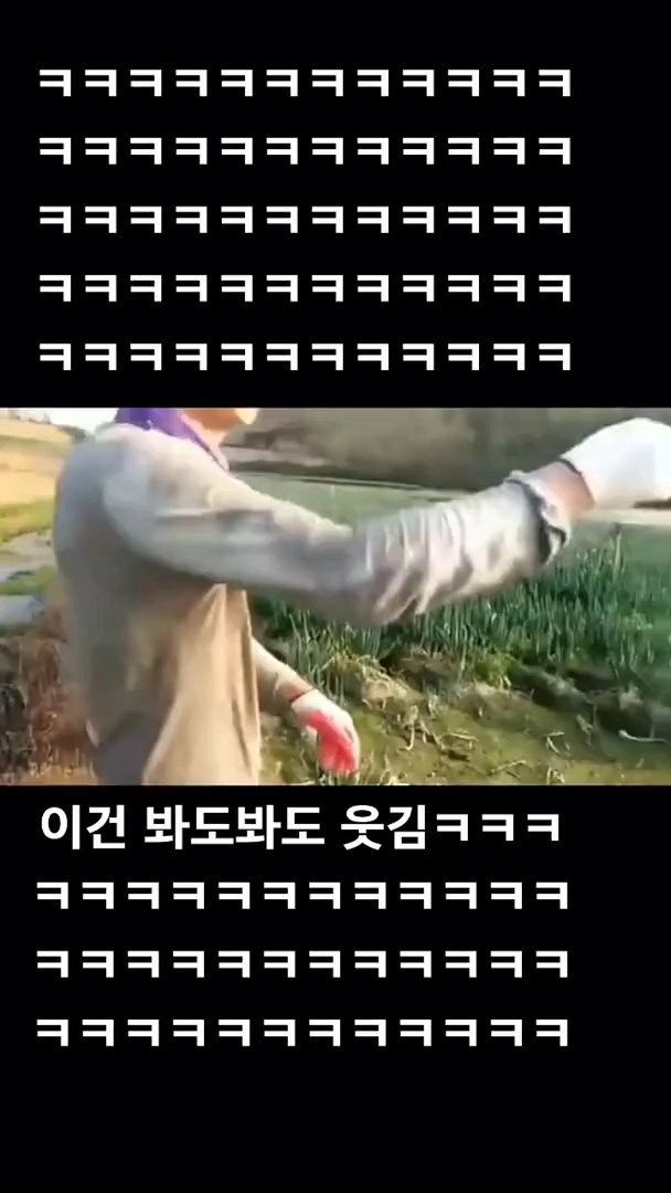 언제봐도 웃긴 영상 ㅋㅋㅋㅋㅋㅋㅋㅋㅋㅋㅋㅋㅋㅋㅋㅋㅋㅋㅋㅋㅋㅋㅋㅋ